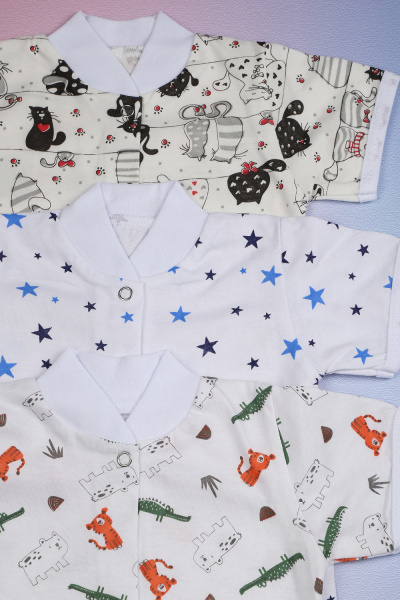 b8a0388c-0b03-4cbb-bf3e-c4043af4f2ba